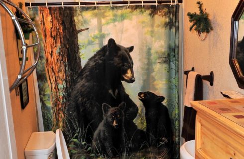 Bathrom with dresser, pedestal sink, oval mirror and shower with bear curtain