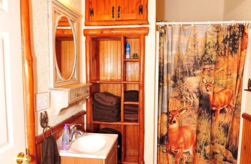 Bathroom with wood built in shelving, single sink and shower with curtain