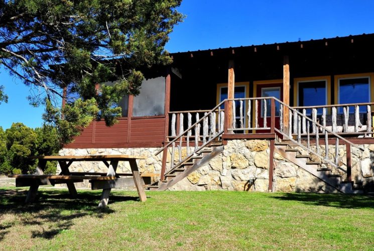 Brown cabin with yellow trim and stone detail, front porch and picnic table on lawn by a large tree